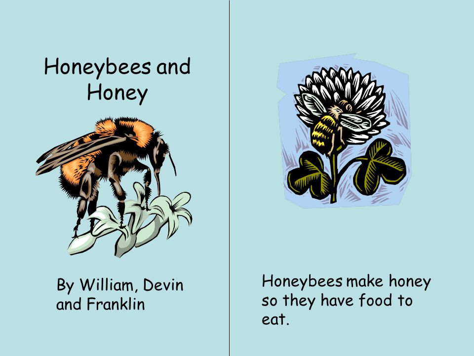Honeybees and Honey By William, Devin and Franklin Honeybees make honey so they have food to eat.