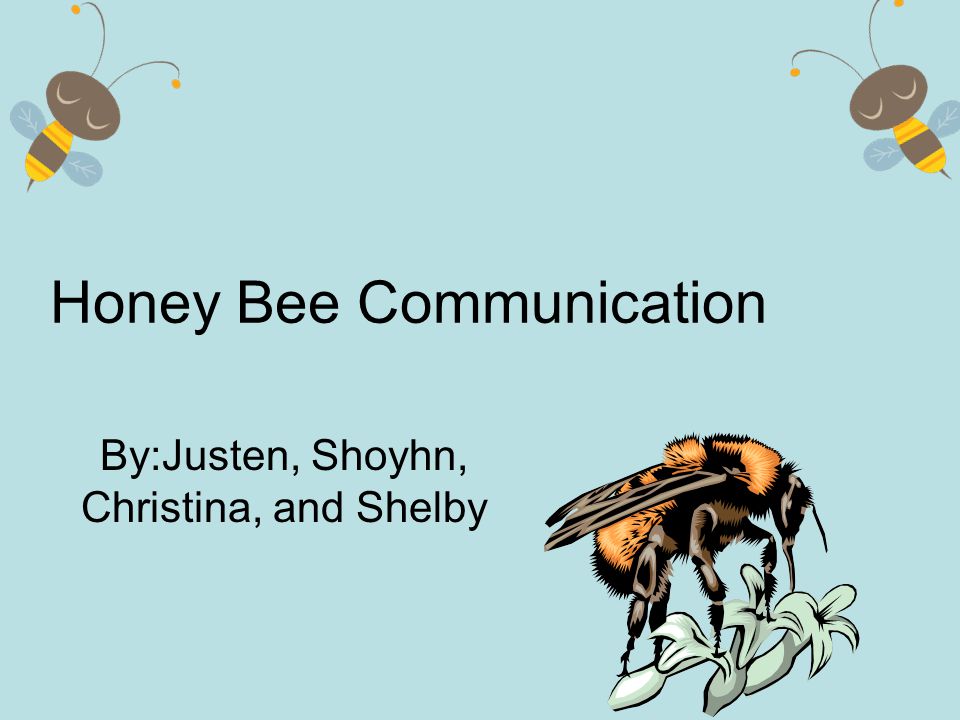 Honey Bee Communication By:Justen, Shoyhn, Christina, and Shelby