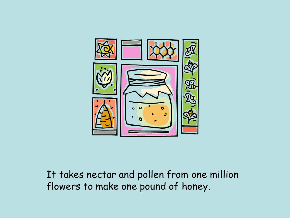 It takes nectar and pollen from one million flowers to make one pound of honey.