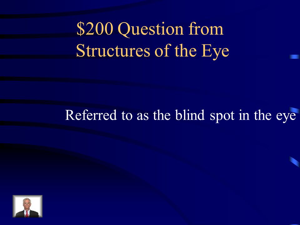 $100 Answer from Structures of the Eye Iris
