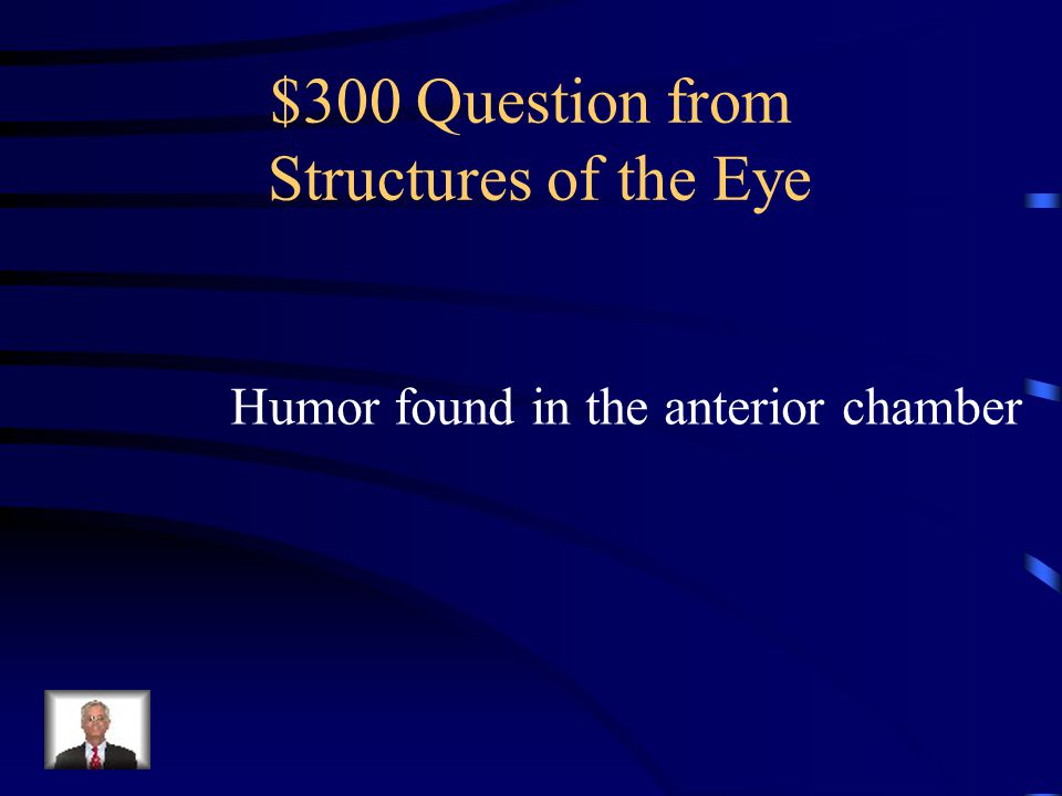 $200 Answer from Structures of the Eye Optic disc