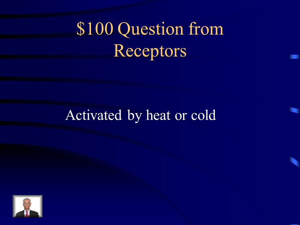 Jeopardy ReceptorsStructures of the Eye Smell and Taste The Ear Surprise Q $100 Q $200 Q $300 Q $400 Q $500 Q $100 Q $200 Q $300 Q $400 Q $500 Final Jeopardy