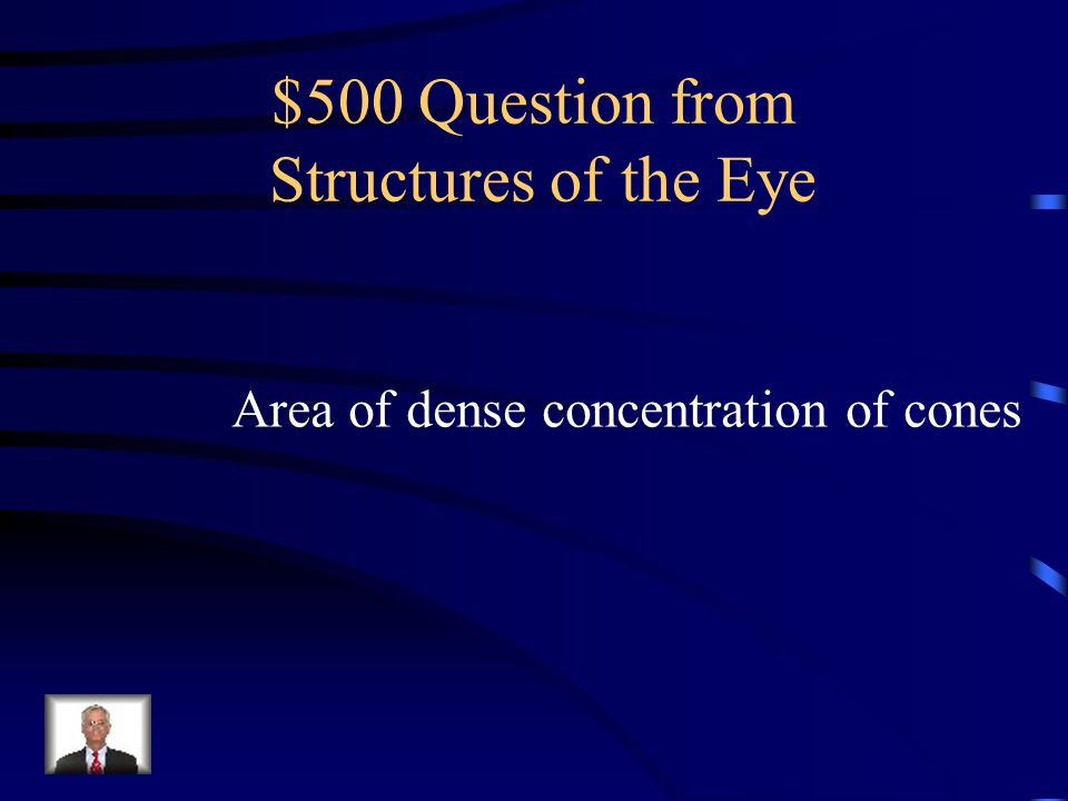 $400 Answer from Structures of the Eye Rods