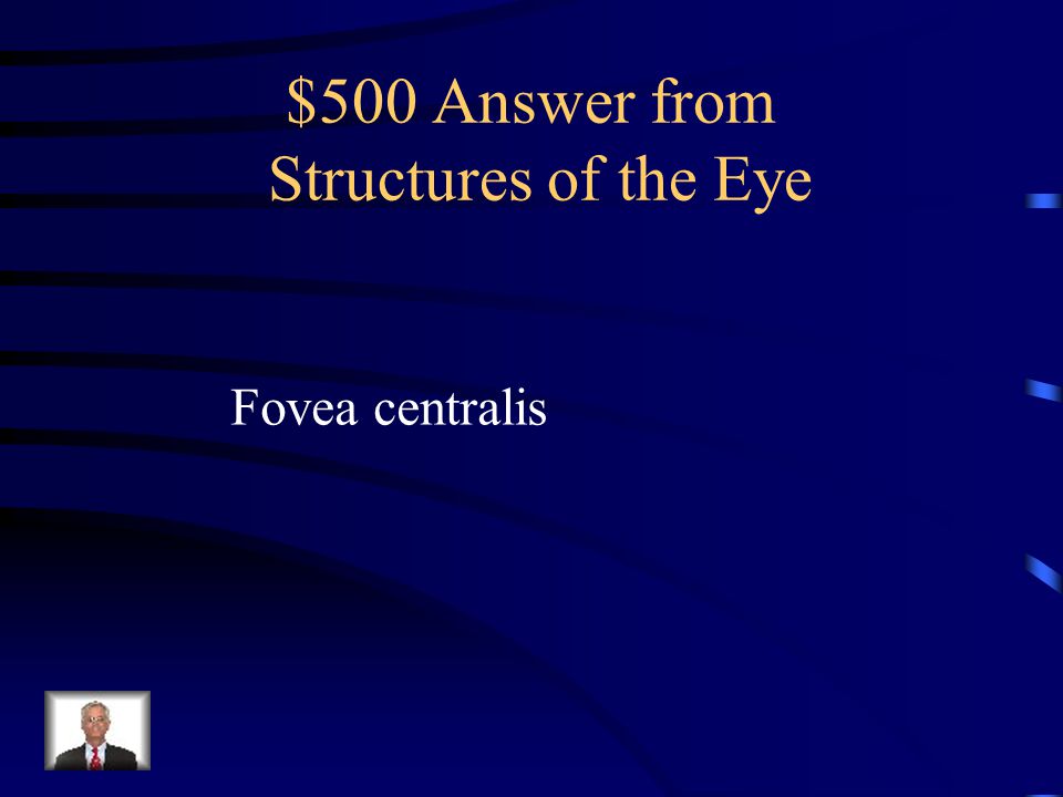 $500 Question from Structures of the Eye Area of dense concentration of cones