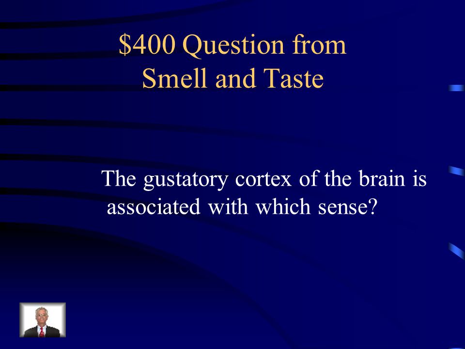 $300 Answer from Smell and Taste Taste buds