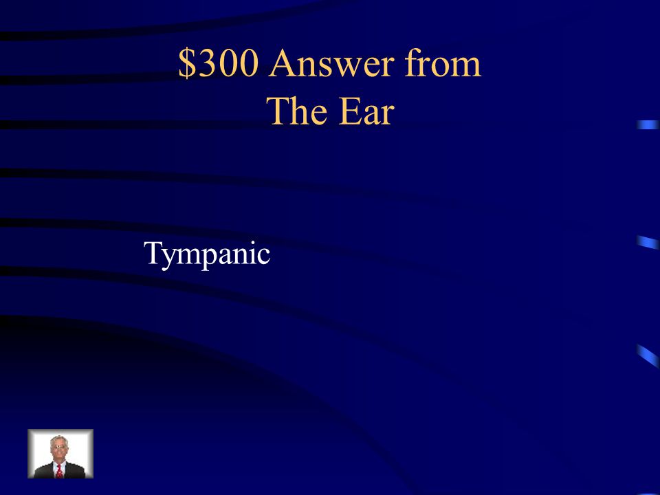 $300 Question from The Ear The _______ membrane is continuous with the external auditory meatus.