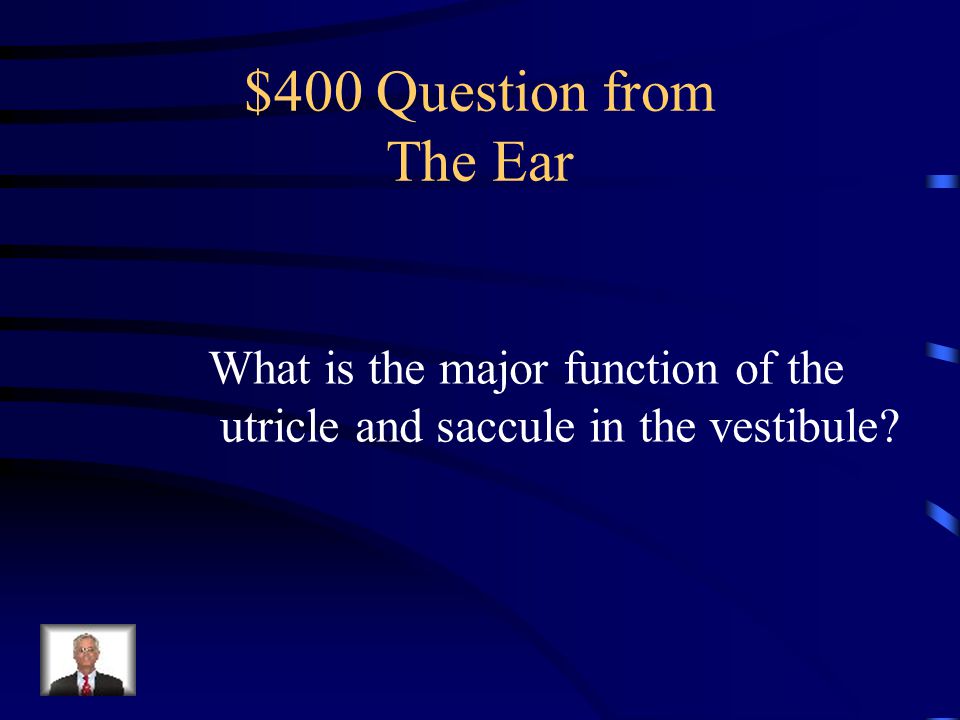 $300 Answer from The Ear Tympanic