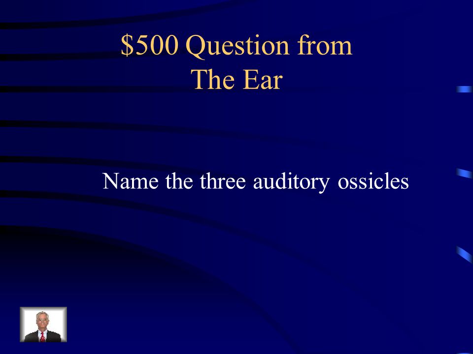 $400 Answer from The Ear Detecting the position of the head