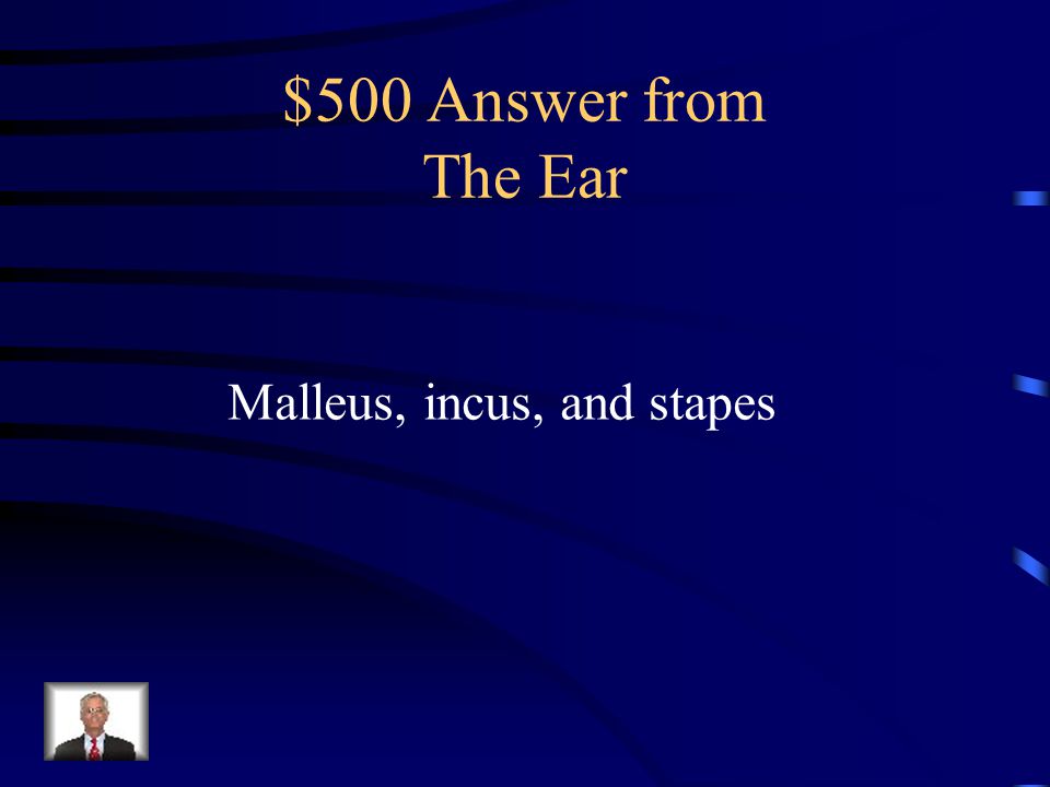 $500 Question from The Ear Name the three auditory ossicles