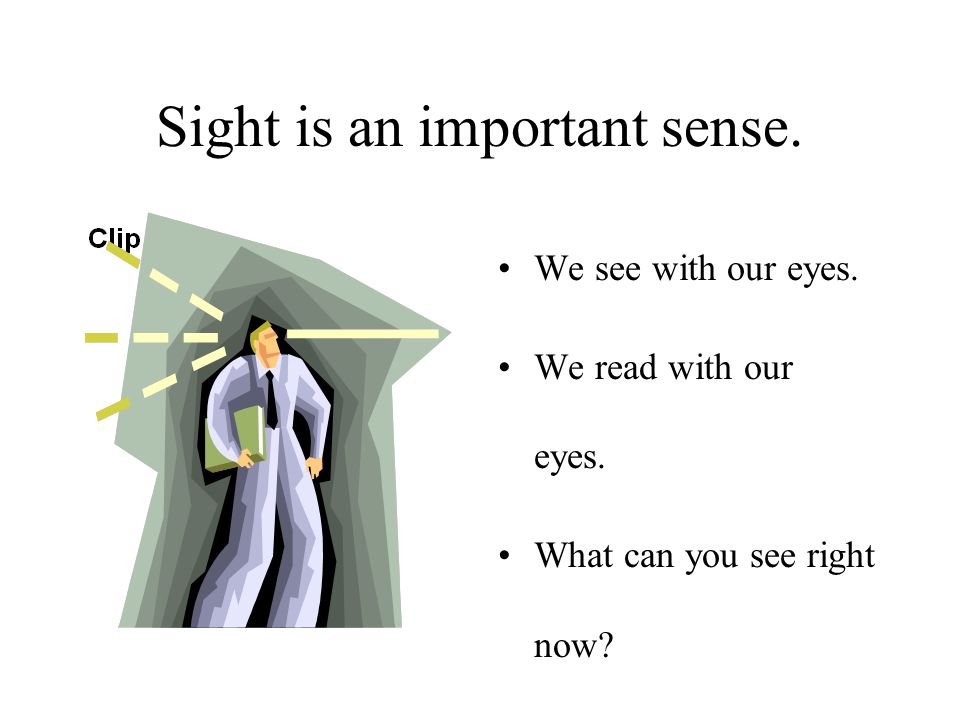 What are your 5 senses By: Emily Cranmer