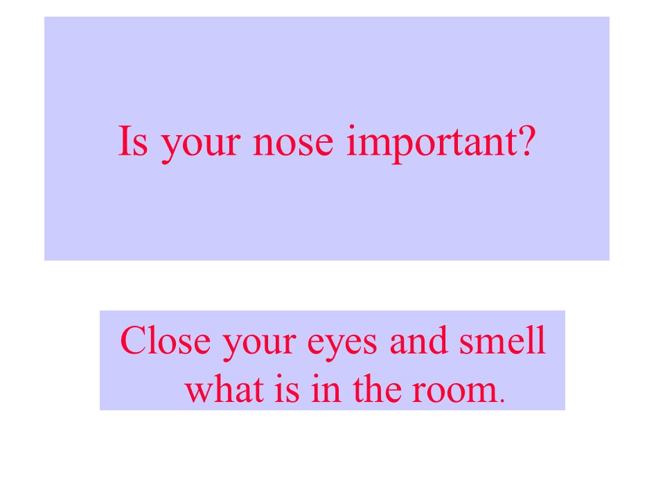 Smelling is an important sense. We use our nose to smell.