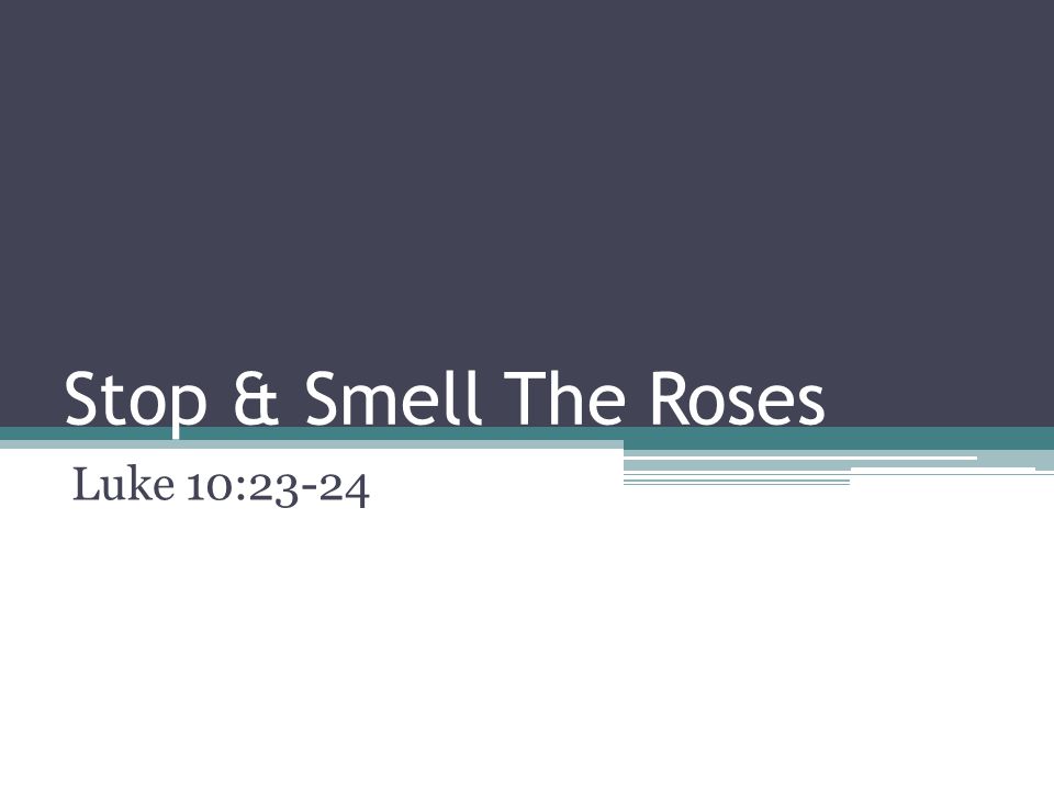 Stop & Smell The Roses Luke 10:23-24