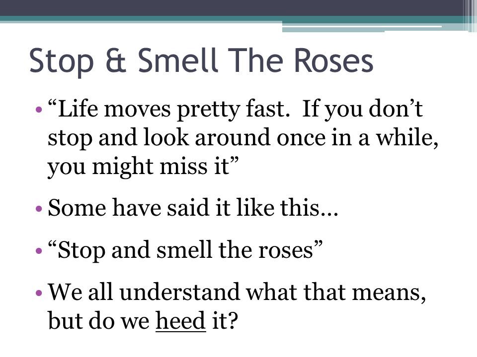 Stop & Smell The Roses Life moves pretty fast.