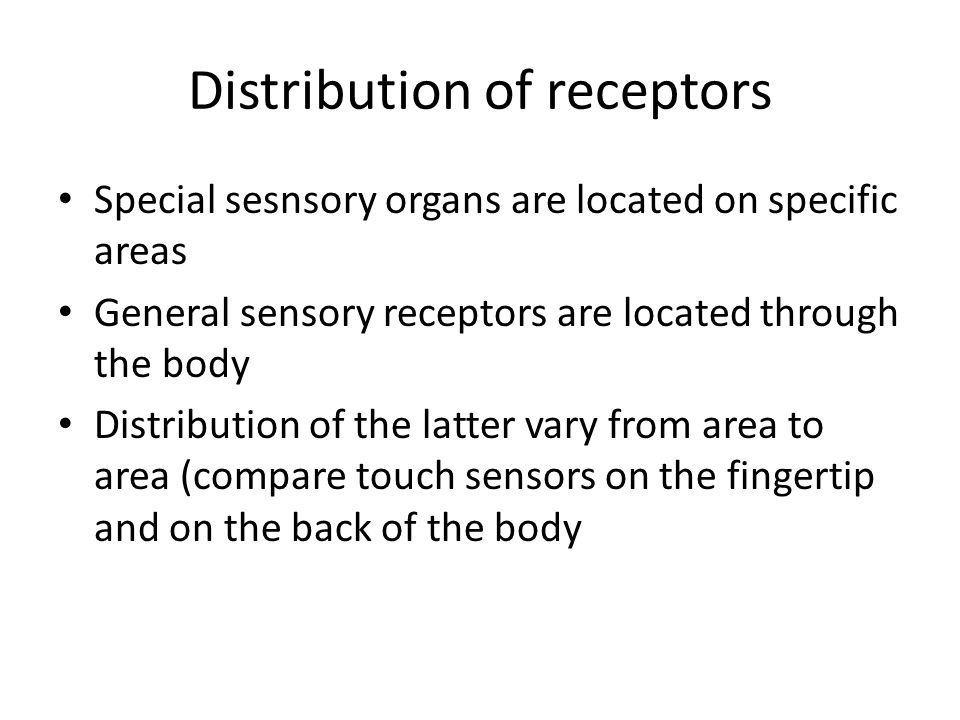 Distribution of receptors Special sesnsory organs are located on specific areas General sensory receptors are located through the body Distribution of the latter vary from area to area (compare touch sensors on the fingertip and on the back of the body