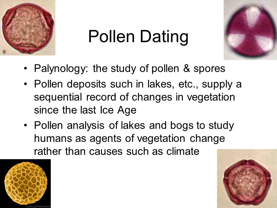 Pollen dating