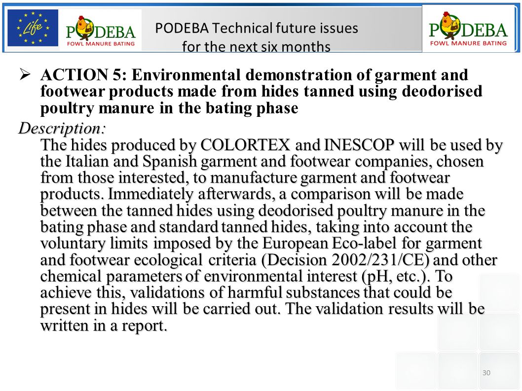 30 PODEBA Technical future issues for the next six months  ACTION 5: Environmental demonstration of garment and footwear products made from hides tanned using deodorised poultry manure in the bating phaseDescription: The hides produced by COLORTEX and INESCOP will be used by the Italian and Spanish garment and footwear companies, chosen from those interested, to manufacture garment and footwear products.