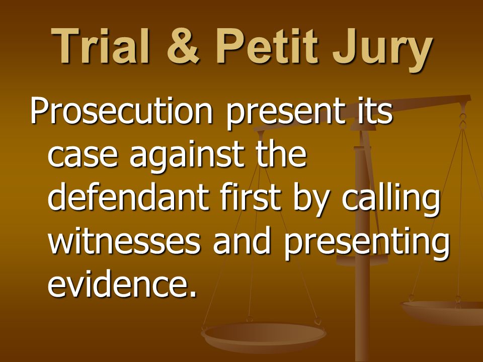 Trial & Petit Jury Prosecution present its case against the defendant first by calling witnesses and presenting evidence.