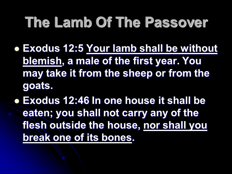 The Lamb Of The Passover Exodus 12:5 Your lamb shall be without blemish, a male of the first year.