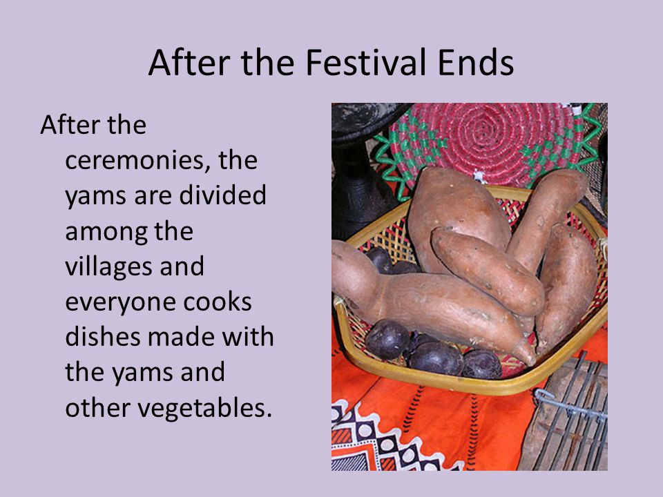 After the Festival Ends After the ceremonies, the yams are divided among the villages and everyone cooks dishes made with the yams and other vegetables.