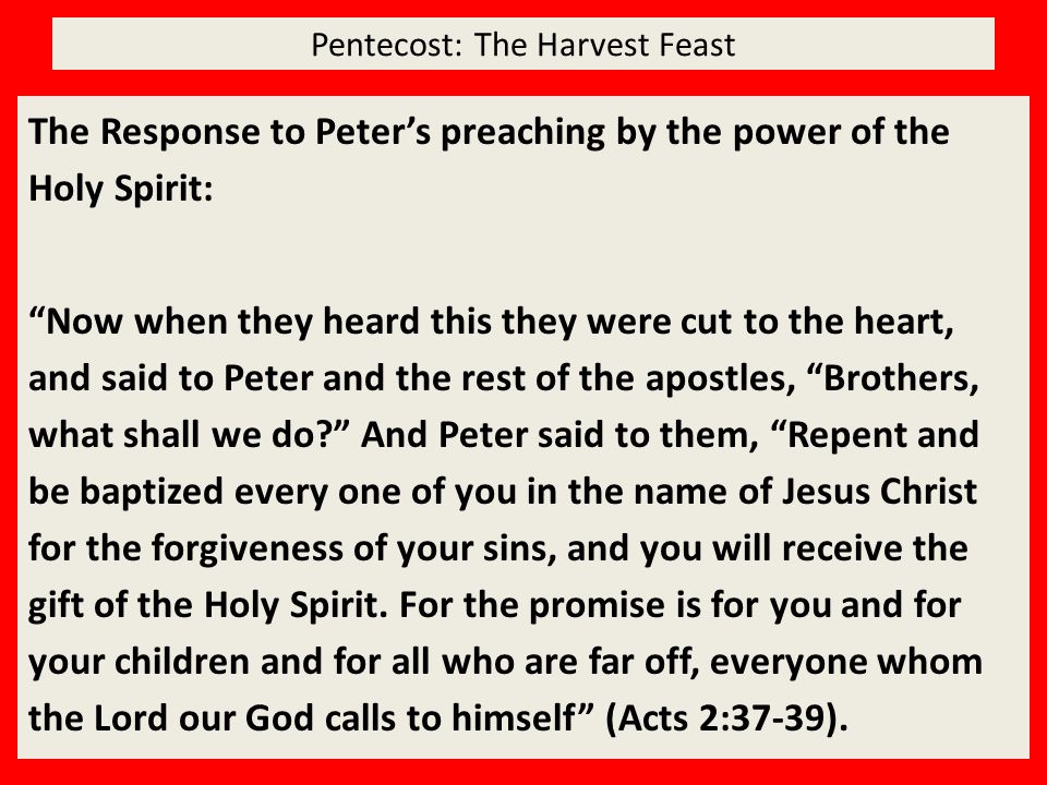 Pentecost: The Harvest Feast The Response to Peter’s preaching by the power of the Holy Spirit: Now when they heard this they were cut to the heart, and said to Peter and the rest of the apostles, Brothers, what shall we do And Peter said to them, Repent and be baptized every one of you in the name of Jesus Christ for the forgiveness of your sins, and you will receive the gift of the Holy Spirit.