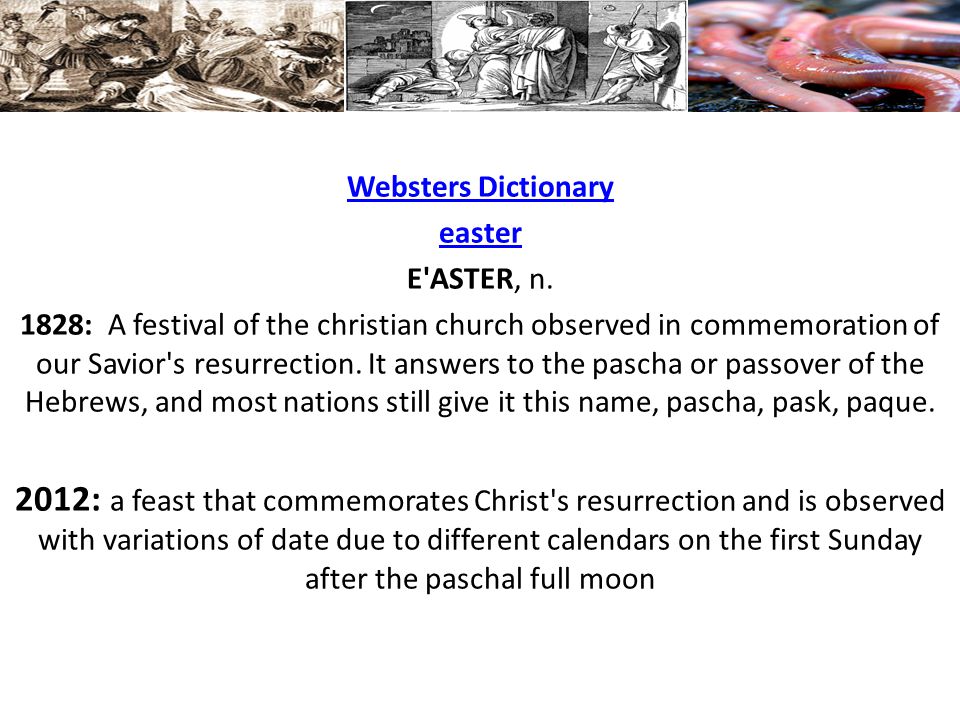 Websters Dictionary easter E ASTER, n.
