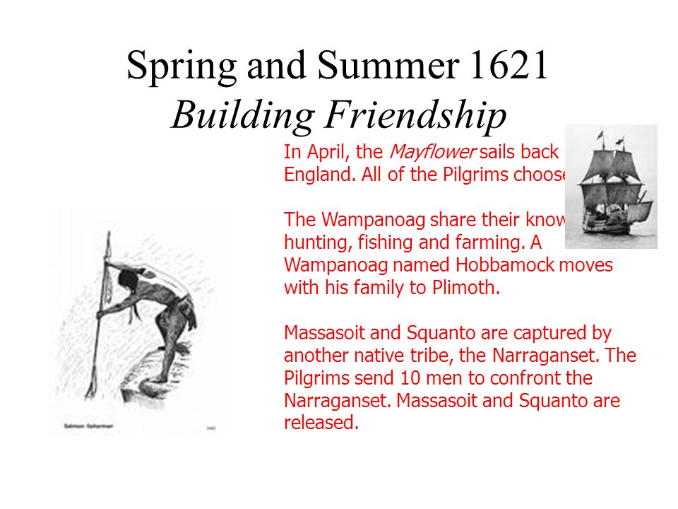 Spring and Summer 1621 Building Friendship In April, the Mayflower sails back to England.