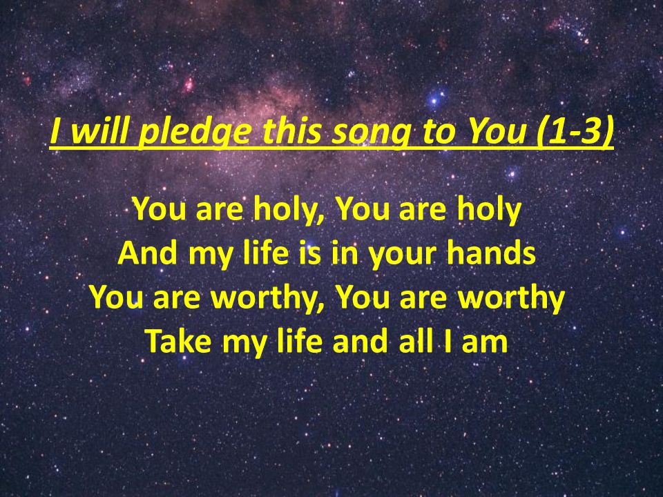 I will pledge this song to You (1-3) You are holy, You are holy And my life is in your hands You are worthy, You are worthy Take my life and all I am