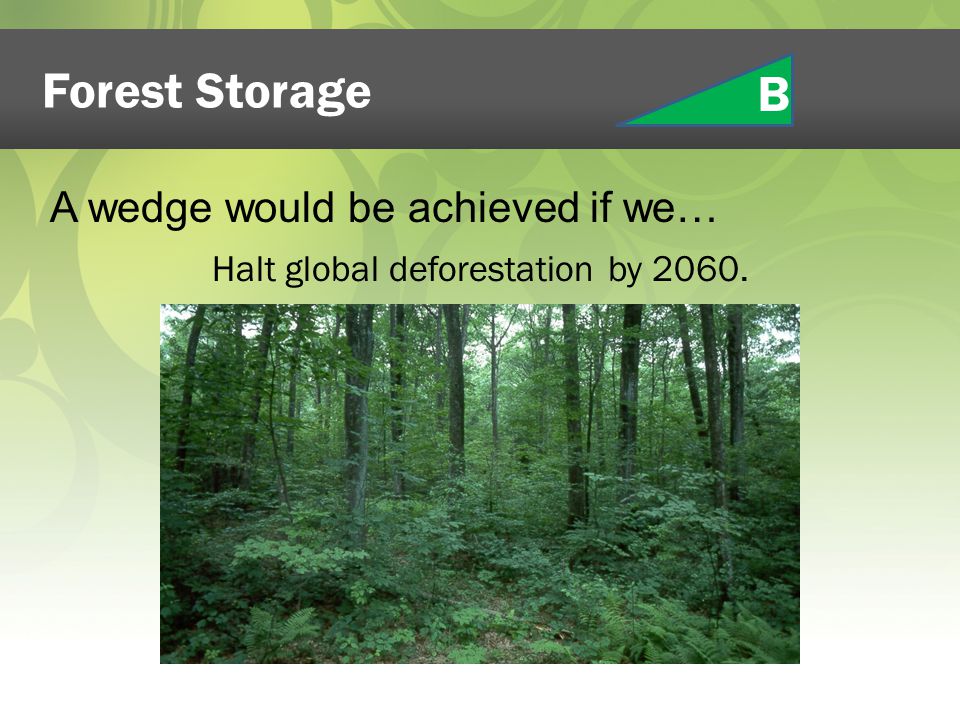 Forest Storage Halt global deforestation by A wedge would be achieved if we… B