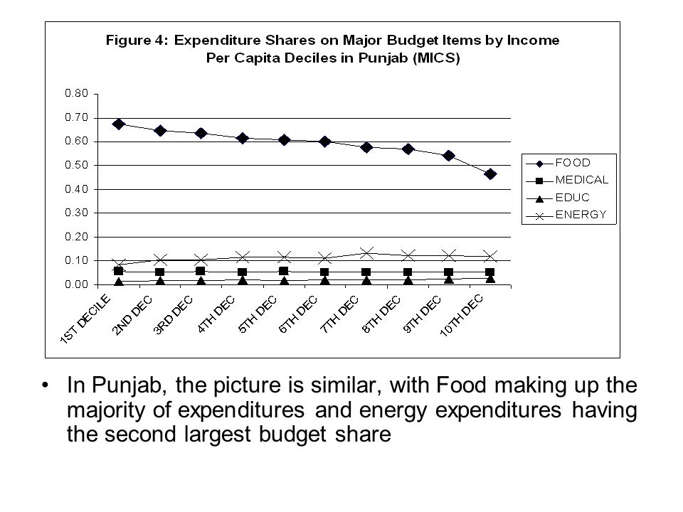 In Punjab, the picture is similar, with Food making up the majority of expenditures and energy expenditures having the second largest budget share