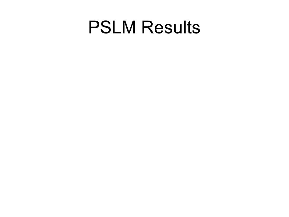 PSLM Results