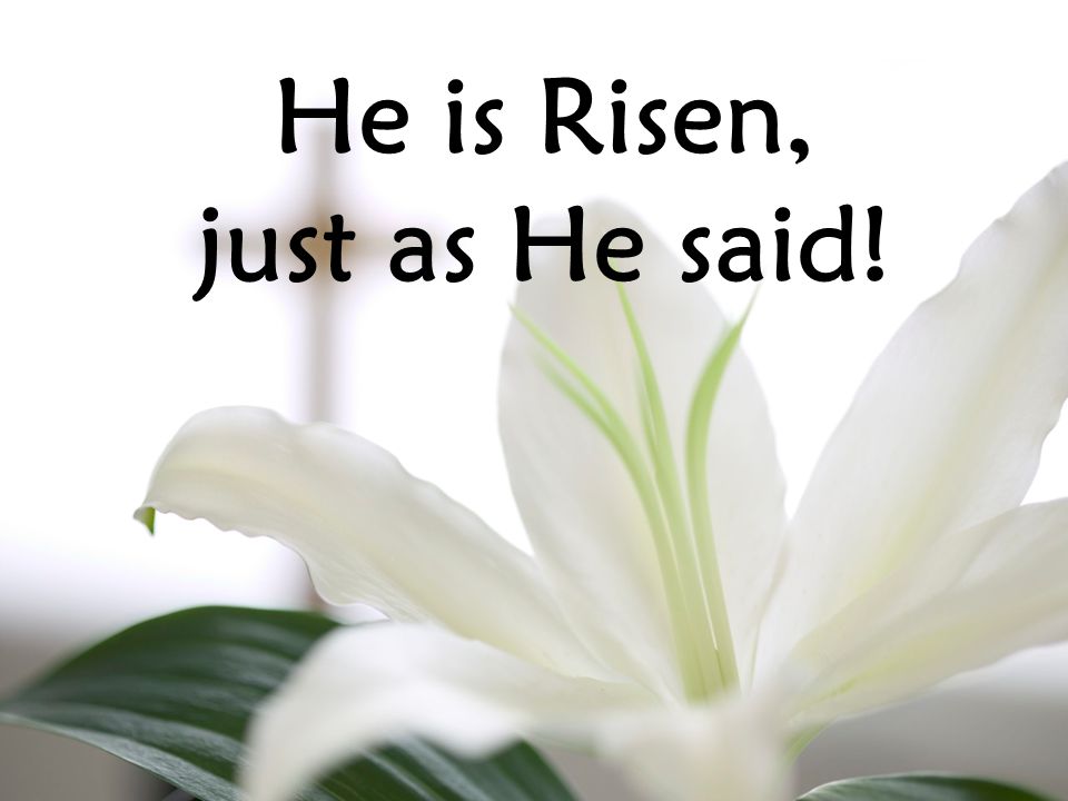 He is Risen, just as He said!