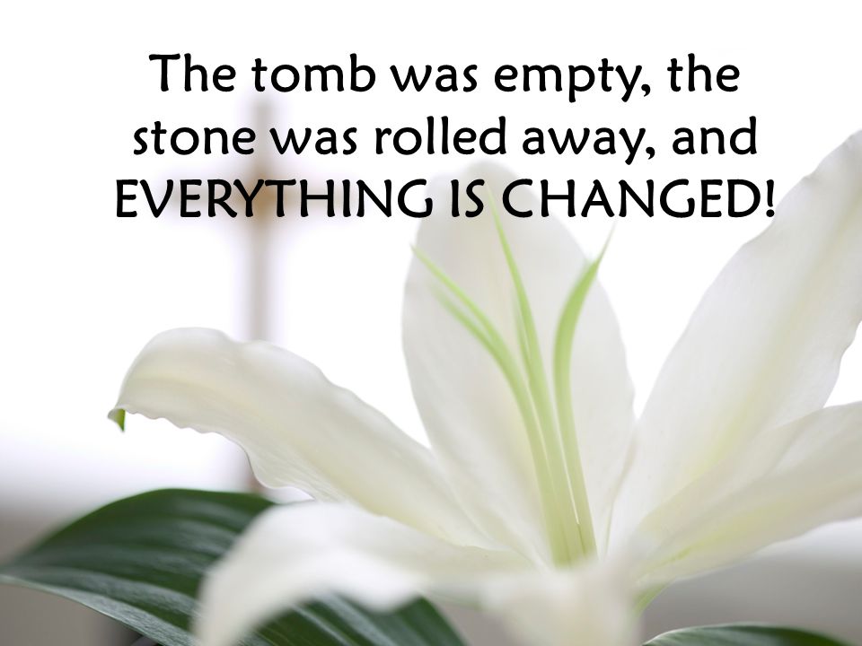 The tomb was empty, the stone was rolled away, and EVERYTHING IS CHANGED!