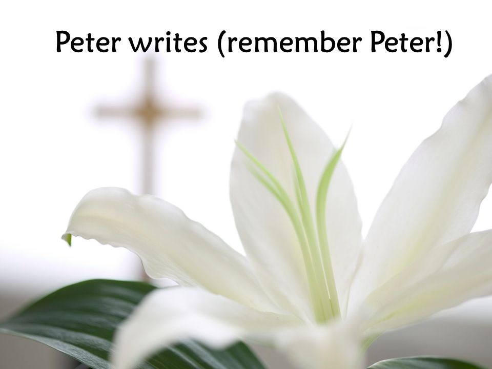Peter writes (remember Peter!)