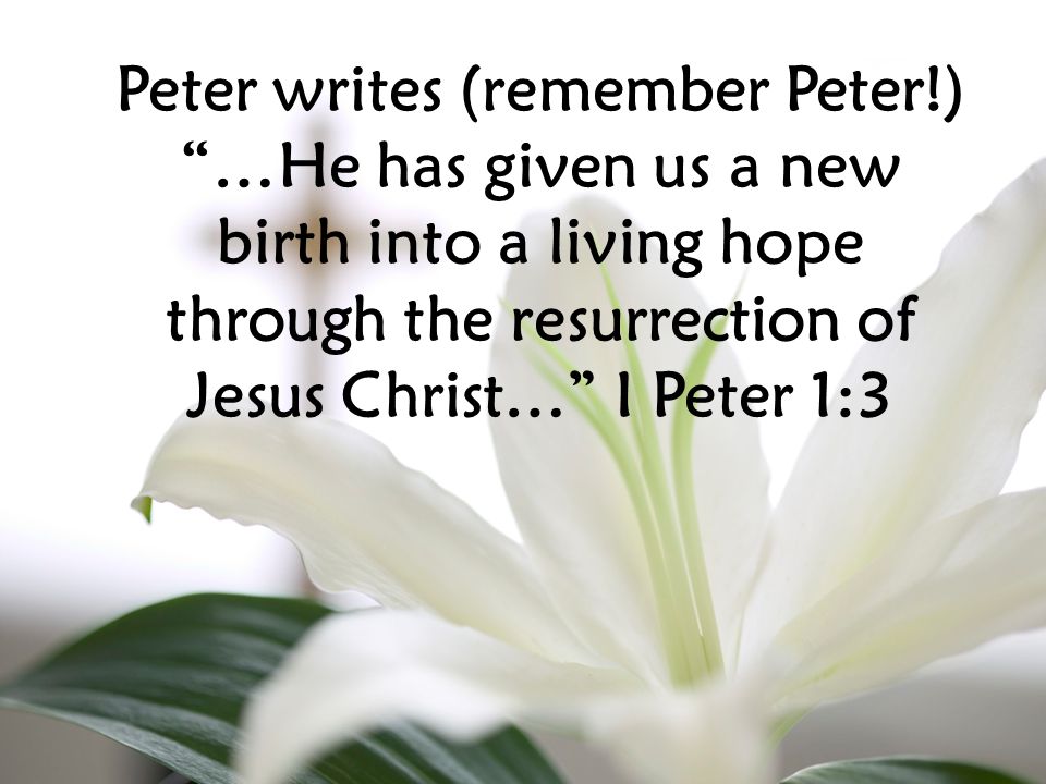 …He has given us a new birth into a living hope through the resurrection of Jesus Christ… I Peter 1:3