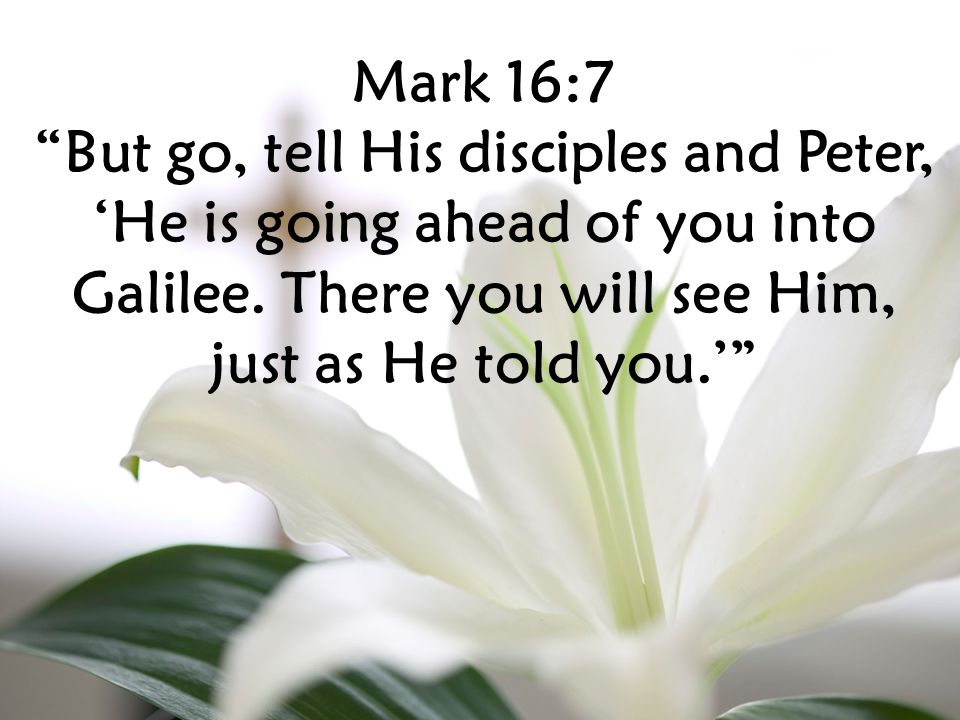Mark 16:7 But go, tell His disciples and Peter, ‘He is going ahead of you into Galilee.