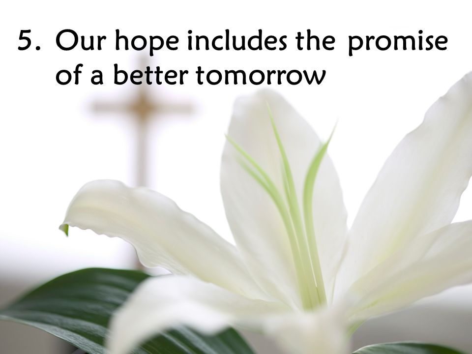 5.Our hope includes the promise of a better tomorrow