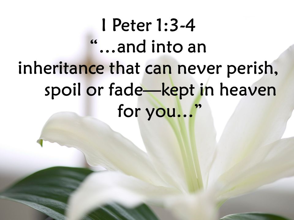 I Peter 1:3-4 …and into an inheritance that can never perish, spoil or fade—kept in heaven for you…