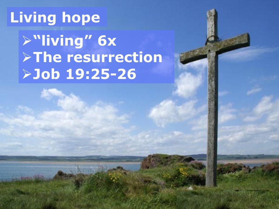 Living hope  living 6x  The resurrection  Job 19:25-26