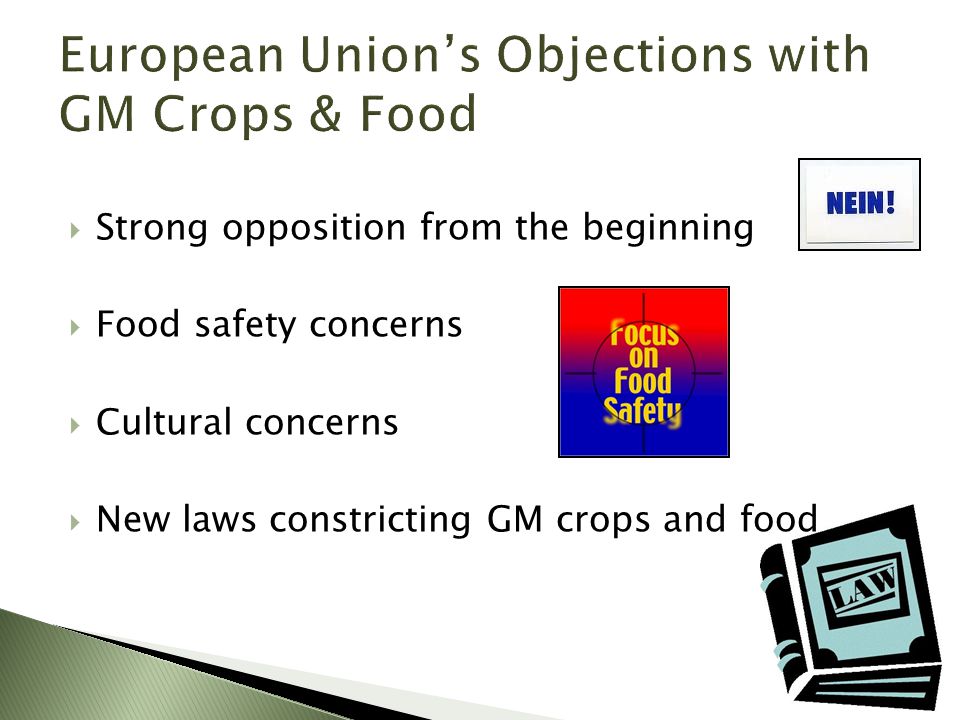  Strong opposition from the beginning  Food safety concerns  Cultural concerns  New laws constricting GM crops and food