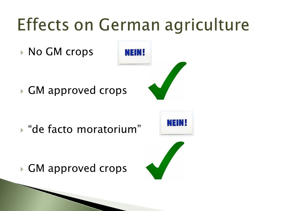  No GM crops  GM approved crops  de facto moratorium  GM approved crops