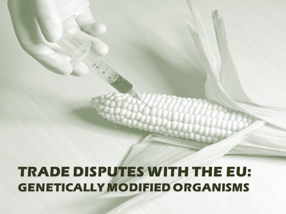 TRADE DISPUTES WITH THE EU: GENETICALLY MODIFIED ORGANISMS