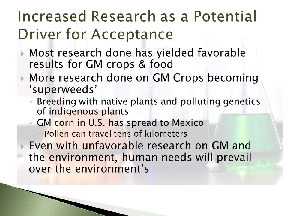  Most research done has yielded favorable results for GM crops & food  More research done on GM Crops becoming ‘superweeds’ ◦ Breeding with native plants and polluting genetics of indigenous plants ◦ GM corn in U.S.