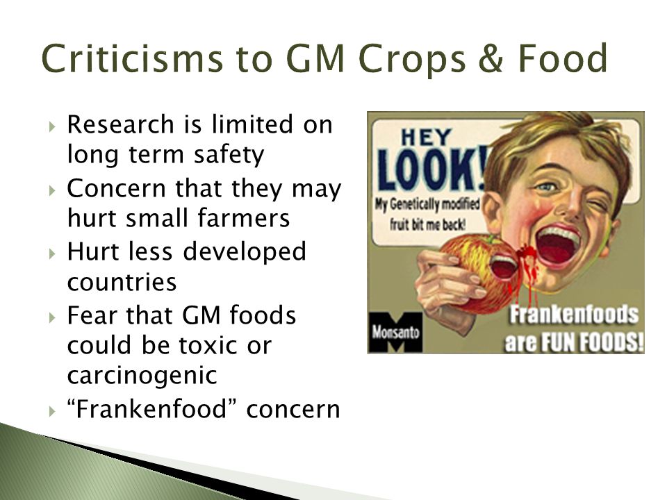  Research is limited on long term safety  Concern that they may hurt small farmers  Hurt less developed countries  Fear that GM foods could be toxic or carcinogenic  Frankenfood concern