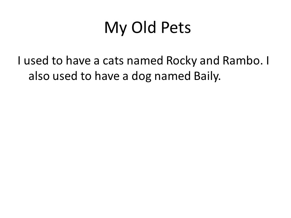 My Old Pets I used to have a cats named Rocky and Rambo. I also used to have a dog named Baily.