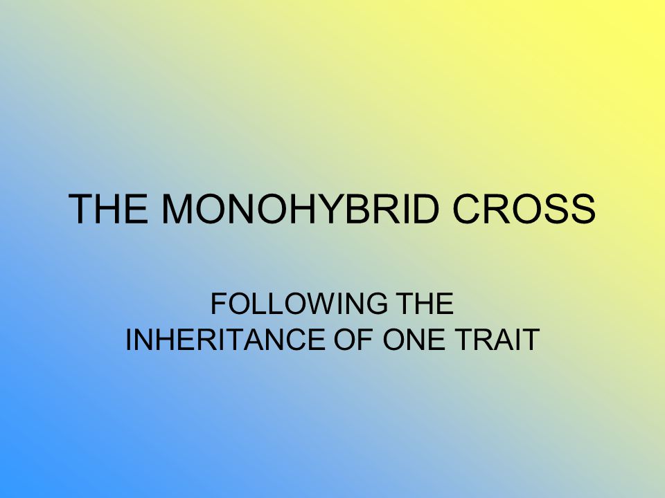 THE MONOHYBRID CROSS FOLLOWING THE INHERITANCE OF ONE TRAIT