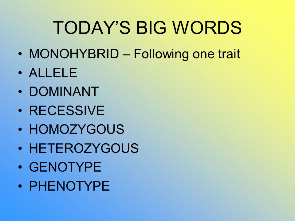 TODAY’S BIG WORDS MONOHYBRID – Following one trait ALLELE DOMINANT RECESSIVE HOMOZYGOUS HETEROZYGOUS GENOTYPE PHENOTYPE