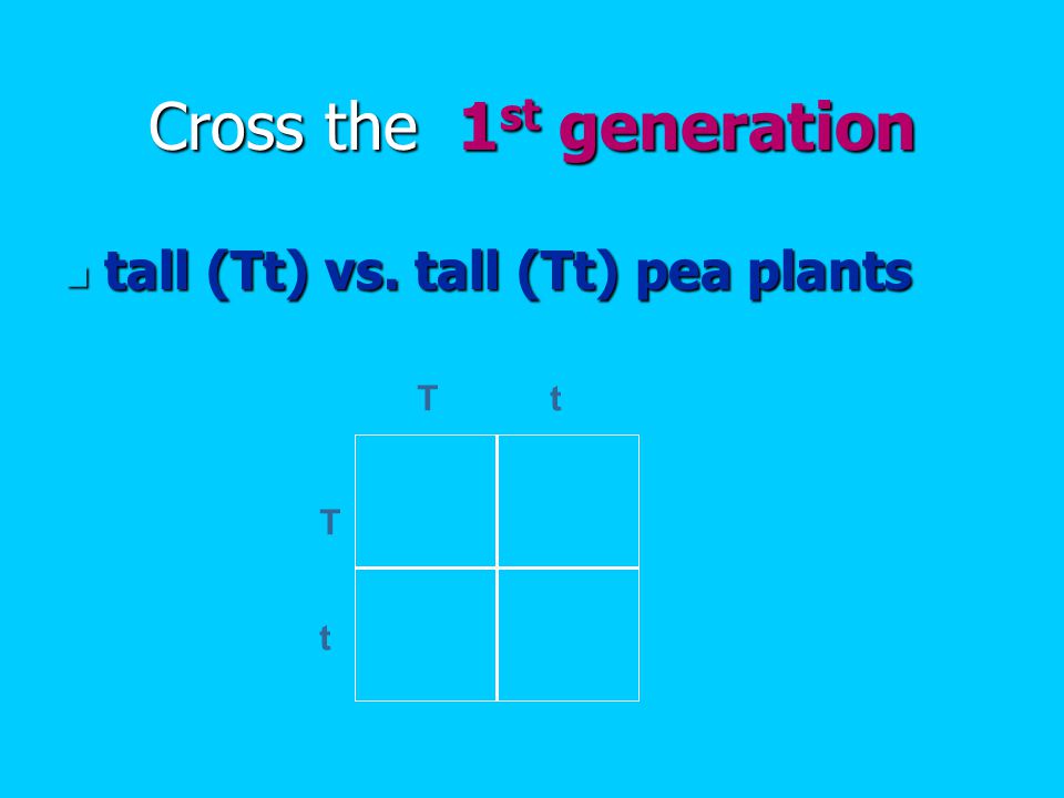 Cross the 1 st generation tall (Tt) vs. tall (Tt) pea plants tall (Tt) vs.