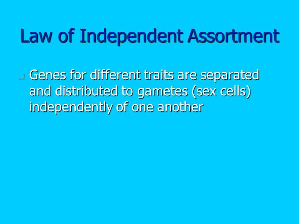 Law of Independent Assortment Genes for different traits are separated and distributed to gametes (sex cells) independently of one another Genes for different traits are separated and distributed to gametes (sex cells) independently of one another