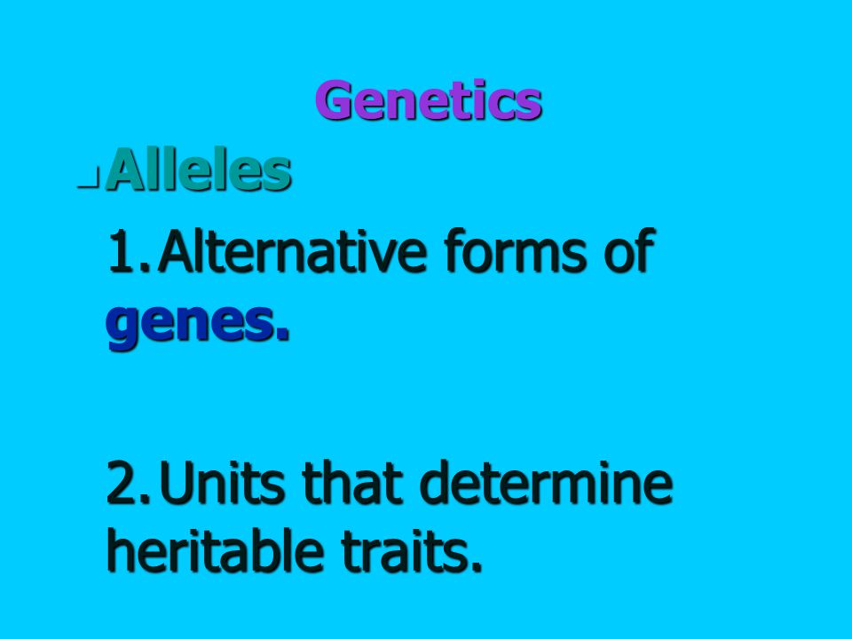 Genetics Alleles Alleles 1.Alternative forms of genes. 2.Units that determine heritable traits.