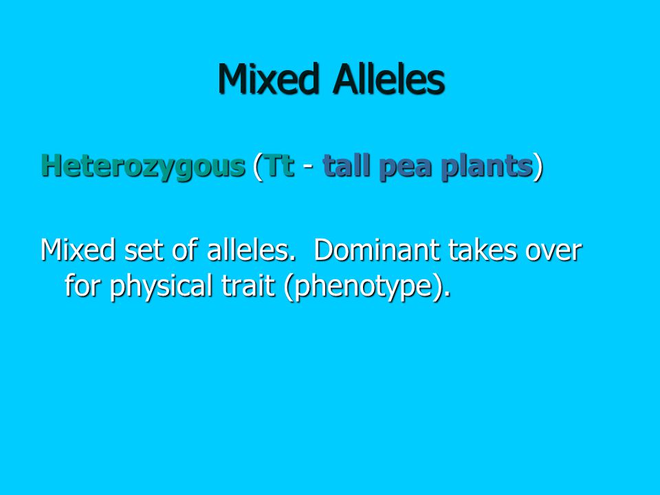Mixed Alleles Heterozygous (Tt - tall pea plants) Mixed set of alleles.